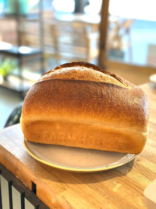A golden sourdough farmhouse loaf rests on a ceramic plate atop a wooden counter. The loaf has a beautifully blistered crust with a deep, rustic score along the top, showcasing its natural rise and artisan bake. Warm sunlight floods the softly blurred bakery setting in the background, highlighting a welcoming, handcrafted atmosphere.